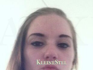 KleineStel