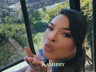 Kamibby