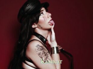 Kamicat