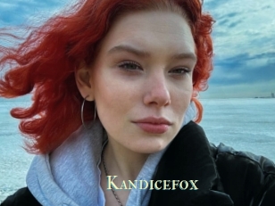 Kandicefox