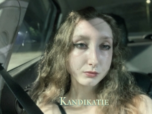 Kandikatie
