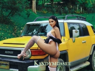 Kandymussee