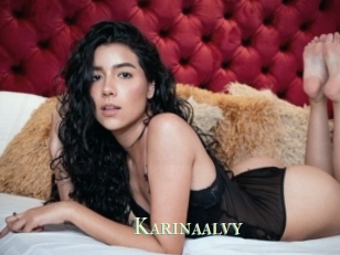 Karinaalvy