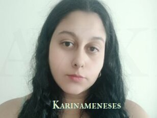 Karinameneses
