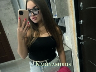 Karinamikus