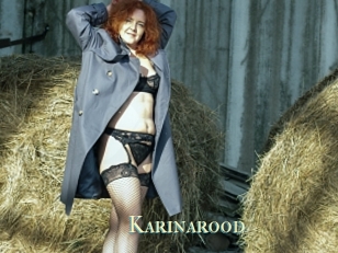 Karinarood