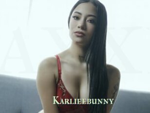 Karlieebunny
