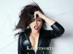 Karllynorth