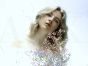 Karrysilver