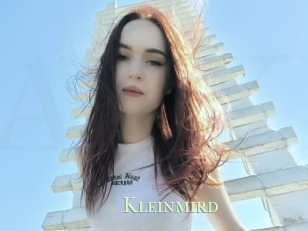 Kleinmird