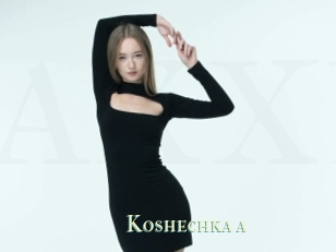 Koshechka_a