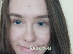 Kriisboom