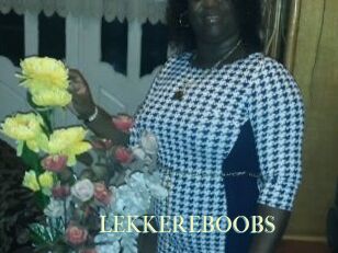 LEKKEREBOOBS