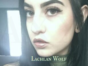 Lachlan_Wolf