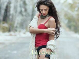 LediAmina