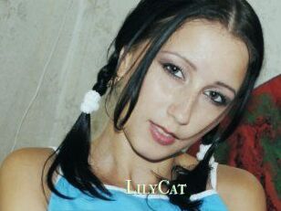 Lily_Cat_