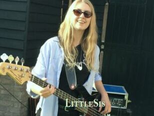 LittleSis