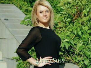 LittleSusy