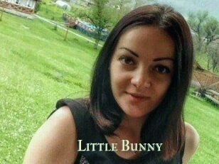 Little_Bunny_