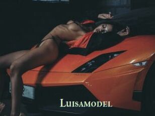 Luisamodel