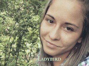 Ladybird