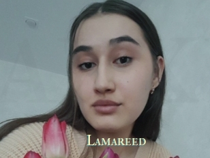 Lamareed