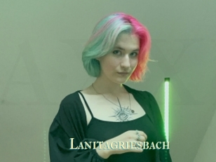 Lanitagriesbach