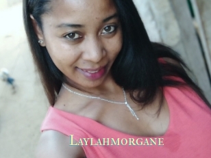 Laylahmorgane