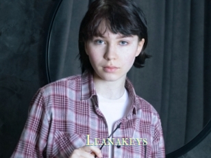 Leanakeys