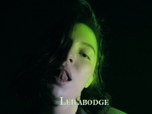 Leilabodge