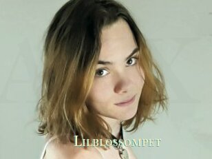Lilblossompet