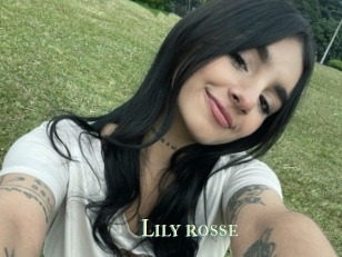 Lily_rosse