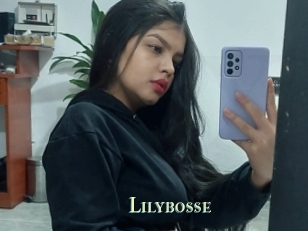 Lilybosse