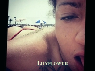 Lilyflower