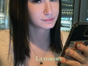 Lilygrows