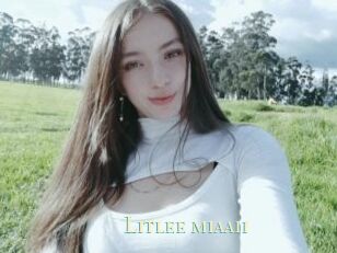 Litlee_miaa11
