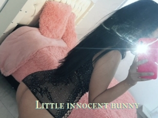 Little_innocent_bunny
