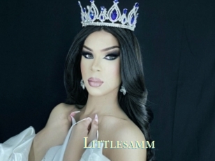 Littlesamm
