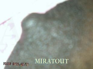 MIRATOUT