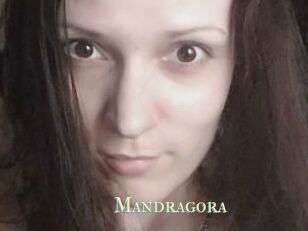 Mandragora