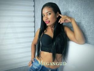 Megangud