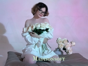 Madisonsoft
