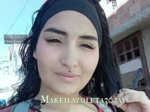Makeilazuleta303av