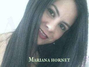 Mariana_hornet