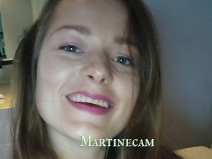Martinecam