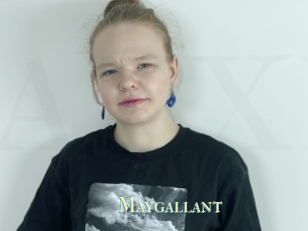 Maygallant