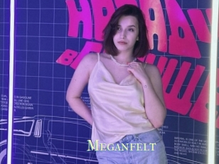 Meganfelt