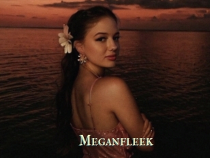 Meganfleek