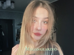 Megangearing