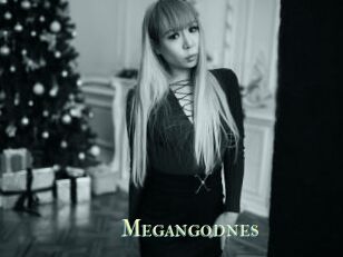 Megangodnes